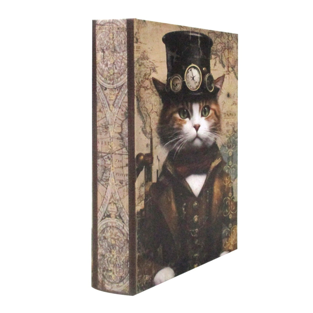 Caja Libro Gato